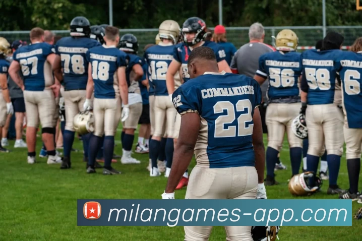 米兰电竞APPAPP 封面图